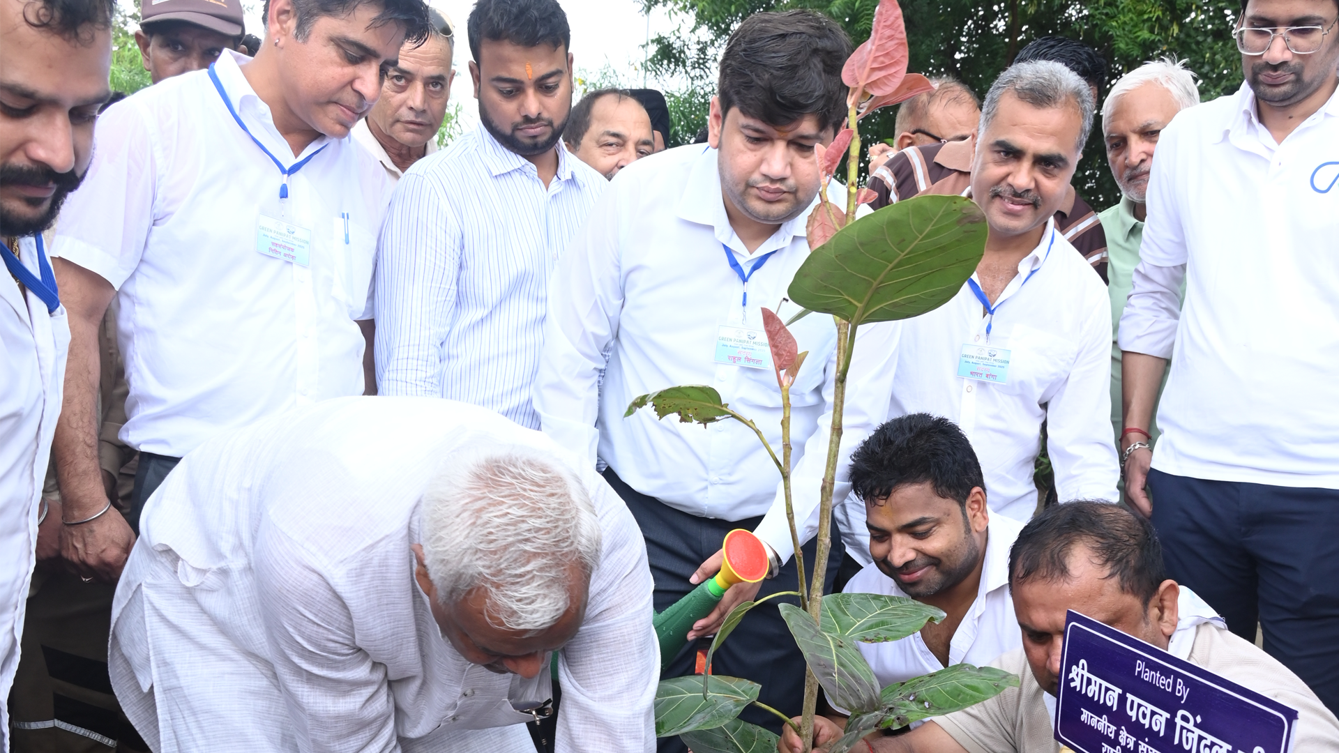 Plant 2